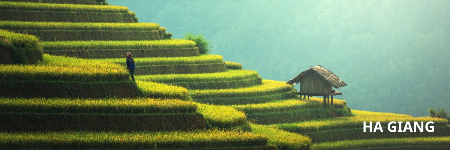 Ruộng bậc thang - Hà Giang