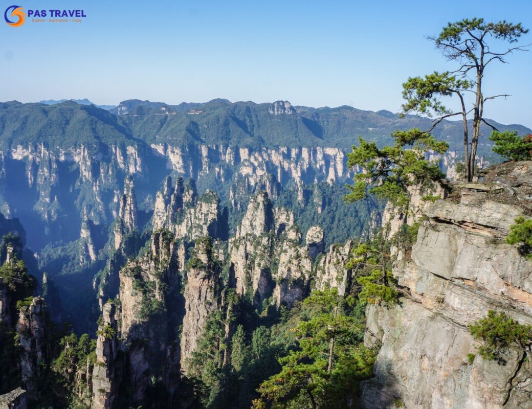 Phim trường phim Avatar - Trương Gia Giới