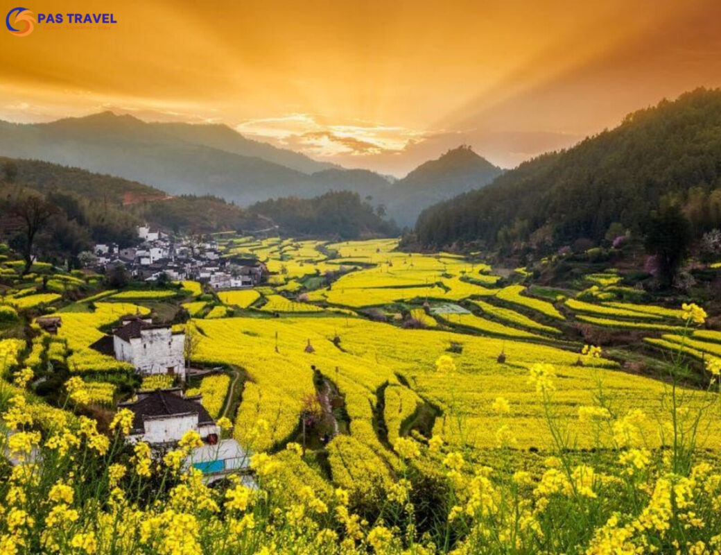 Vụ Nguyên đẹp như mơ